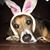 David Lane Ebarb's profile image