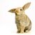 Patrick Kelly's profile image