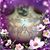 Ginger Walker Linkel's profile image