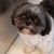 Michael Fiedler's profile image
