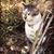 Furquan Pathan's profile image