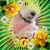 Gerardo Ballesteros's profile image