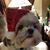 Sharon Cavanaugh Heck's profile image