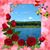 Angelique Olmo's profile image