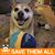 Susan Slepetski's profile image