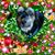 Margaret Hanna's profile image