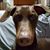 Dawn M Gallagher's profile image
