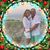 Marie Traina's profile image