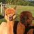 Beth Lutz's profile image