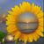 Kim Huebschen's profile image