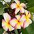 Bob Oleary's profile image