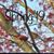 Karen Schneider's profile image