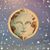 David Lewis's profile image