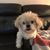 Amee Larson's profile image
