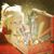 Sharon Leamy Carrasco Martin's profile image