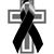 Osvaldo Lujano's profile image
