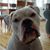 Kathy Marie's profile image