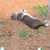 Treisa Johnson's profile image