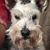 Susan Platt's profile image