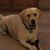 Colleen Kelly's profile image