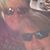 Kelli Edwards's profile image