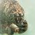 Laura Saccardo's profile image