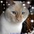 Faith Horton Stilts's profile image