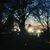 Melinda Shafer Shetler's profile image