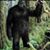 Cornelius Heiers's profile image