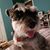 Karen Stanley Rankin's profile image