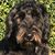 Aileen Teren-Foster's profile image