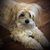 Reva L. Baumgart's profile image