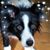 Eileen Weidle Gregoire's profile image