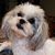 Barbara Hoult Tschantz's profile image