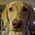 Heather M Maggio's profile image