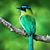 Hairol Anuar Salehan's profile image