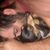 Manuel Ricky Jessica's profile image