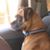 Lisa Froese's profile image