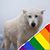 Val Walker's profile image
