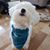 Marlene Hempstead's profile image