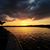 Cynthia D. Sabel-Ruiz's profile image