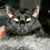 Betty Kuberski's profile image