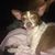 Christie Lewis Adams's profile image