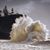 Sherry Deeter's profile image