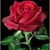 Matilde Avalos's profile image