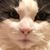 Teri Law's profile image