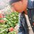 Taweewat Tabklad's profile image