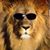 Duncan Stewart's profile image