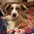 Becky Martin Terry's profile image