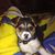Brittany Hagee's profile image